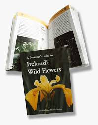 21 easy flowers for beginners. Transparent Wild Flowers Png Beginner S Guide To Ireland S Wild Flowers Png Download Kindpng