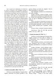 Image result for Eminia antennulifera