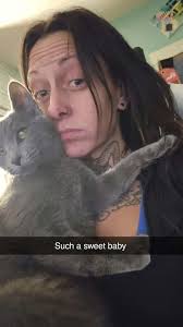 Lost kitten in Reno County, Kansas