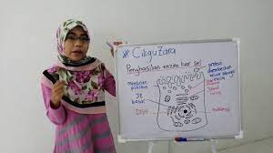 Hampir semua proses biologis sel memerlukan enzim agar dapat berlangsung dengan cukup cepat. Biologi Bab 4 Enzim Youtube