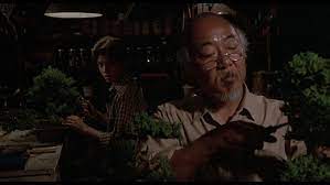 Maybe you would like to learn more about one of these? Bonsai In The Karate Kid Movie Bonsai Empire