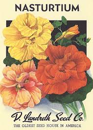 Heirloom Flower Seed Packet Note Cards Flower Seeds Packets Flower Seeds Heirlooms Flowers