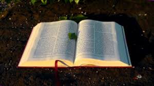 Der Wert Der Spruche Spruche Salomos Bibel Studium Gottes Liebe