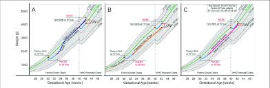 Image result for Preterm Infant Growth