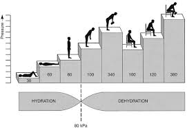 The Sitting Epidemic Lawrence Park Health And Wellness