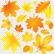 Assorted Shape Leaves Autumn Leaf Color Fall Leaves Transparent Background Png Clipart Hiclipart Maple leaves , autumn leaf color , falling leaves transparent background png clipart. assorted shape leaves autumn leaf