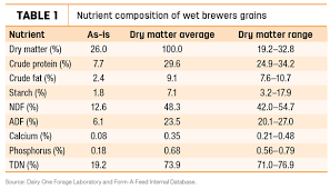 Beer Fed Beef Considerations For Feeding Cattle Brewers