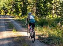 Special Blend Gravel Camp