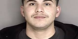 Gun, ammo, Salinas street sign seized during arrest