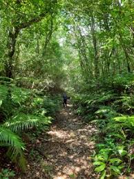 13:24 it was a hot day but perfect for a few hikes! Okinawa Travel Blog
