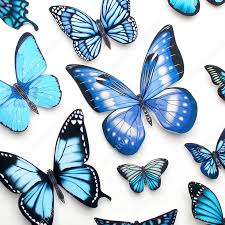 Untuk cara membuat hiasan dinding, akan anda butuhkan, khususnya bagi anda yang ingin memiliki dinding yang ikut membantu menjadikan ruangan lebih indah. Stiker Dinding 3d Kupu Kupu Stiker Dinding Hiasan Dinding Rumah Dan Gaya Hidup Canon Creative Park