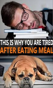 Why I Am So Tired After Eating Eliminnate Simple Mistake In 2020 Tired After Eating Feel Tired Eat