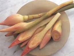 Eliator nama binomial etlingera eliator k.schum. The Best Authentic Of Nyonya Dishes Perut Ikan Sujean S Space