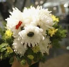 30 lil stinkers stop and smell the flowers! The Dog In World Dogs And Flower Animal Flower Arrangements Puppy Flowers Flower Arrangements