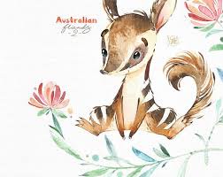 Australian Friends 2 Little Animals Clipart Watercolor Etsy Animal Clipart Animals Echidna