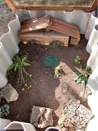 Exemples Enclos Pour Bebes Ou Juveniles Terrarium Tortue Maison Tortue Enclos Tortue