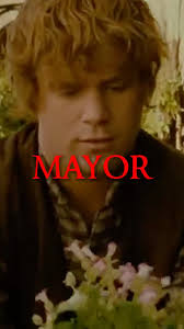 What happened to Frodo, Sam, Merry, and Pippin? #shorts #lordoftherings  #theshire #frodo