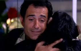 Flor do Caribe: 2013