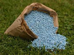 Una dieta baja en proteínas también puede ayudar a reducir los niveles de nitrógeno ureico en la sangre. Arahan Penggunaan Urea Atau Carbamide Produk Penjagaan Tanaman 2021