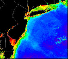 Chlorophyll Concentration Imcs Coastal Ocean Observation Lab