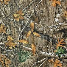 Maybe you would like to learn more about one of these? Realtree Wallpaper Bird Plant Tree Adaptation Camouflage 980457 Wallpaperuse