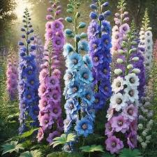 Image result for Delphinium leroyi