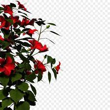 24+ bunga png images for your graphic design, presentations, web design and other projects. Family Tree Design Png Download 1024 1024 Free Transparent Flower Png Download Cleanpng Kisspng