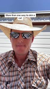 More Than One Way to Skin A Cat Meaning