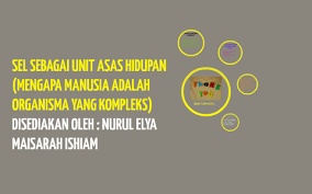 Sel sebagai unit asas hidupan. Sel Sebagai Unit Asas Hidupan By Nurul Elya