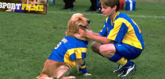 Air Bud Der Beste Sportsfreund Des Menschen
