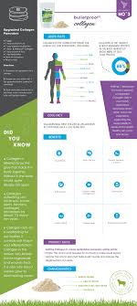 upgraded collagen infographic bulletproof collagen