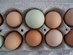 Eggs To Wash Or Not To Wash Farm Fresh Eggs Chicken Eggs Fresh Chicken