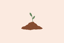 Why Everyone Should Compost Even If You Never Garden But Good News It S Much Easier Than You Think Composting Easy Compost Composting At Home