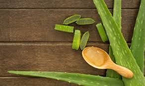 Let us now understand the basic causes of hair fall and learn a few ways that help fix it. Home Remedies For Hair Loss 6 Effective Tips To Stop Hair Fall And Boost Hair Growth India Com