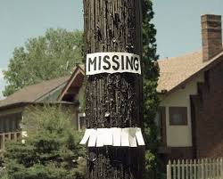 Missing Missing Posters Night In The Wood Life Is Strange