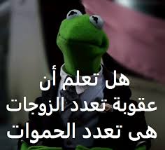 أمر عذاب وأحلى عذاب عذاب الحب والحموات Funny Dude Funny Jokes Funny Pictures