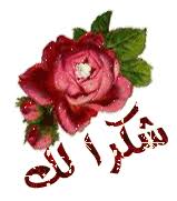 images?qtbnANd9GcTM2pWkrdAU6bjog7purA6qd1n8Ne2DOCY4PxADMYLgh  ejogVkg