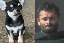 Sign: Horrible and Inhumane