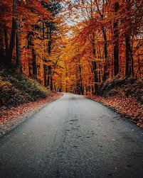 Entdecke rezepte, einrichtungsideen, stilinterpretationen und andere ideen zum ausprobieren. October Afternoon 100 Best Free October Autumn Fall And Leafe Photos On Unsplash Autumn Road Landscape Pictures Lightroom Presets Portrait