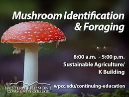 Mushroom Nc Foraging License Workshop Western Piedmont