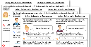 P2 English Vocabulary Practice | Openschoolbag