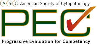 Accedi alla webmail pec e invia raccomandate digitali direttamente dal tuo computer, smartphone o tablet. Pec American Society Of Cytopathology