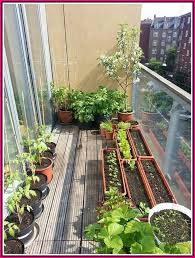 Simple Garden Ideas Thumb Not Green Try These Horticulture Ideas Simple Garden Ideas Small Balcony Garden Balcony Herb Gardens Patio Garden Design