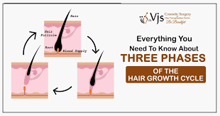 As your hair grows, individual strands randomly cycle through four, ongoing phases: Everything You Need To Know About Three Phases Of The Hair Growth Cycle