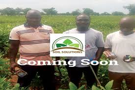 At soil solutions, we value the growth, pride and success that we experience with each and every project. Soil Solutions Good Soil High Yield