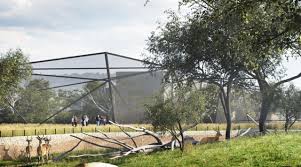 Pasiaste maluchy przyszły na świat z końcem kwietnia. Zoo Zamosc Coraz Blizej Kolejnej Wielkiej Rozbudowy Wizualizacje Zamosc Nasze Miasto