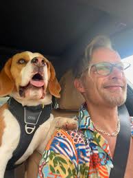 He was gone for two hours today. Now he's back and everything is perfect  again.