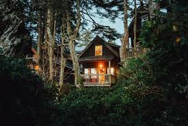 Check spelling or type a new query. Your Home Away From Home Cabins Lodges Cottages Rentals In Ucluelet Steemit