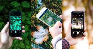 Seek - Ứng dụng giúp bạn nhận diện loài bằng dữ liệu quan sát từ iNaturalist : r/photography