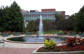Pictureninja Com Domain Name For Sale Dan Com Michigan State University Michigan State University Campus Michigan State